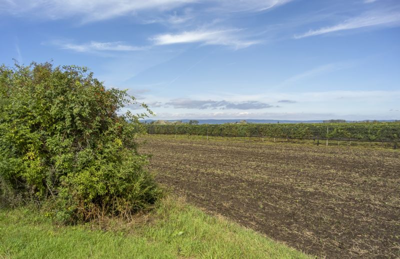 Field Clearing in Gwinnett County, GA