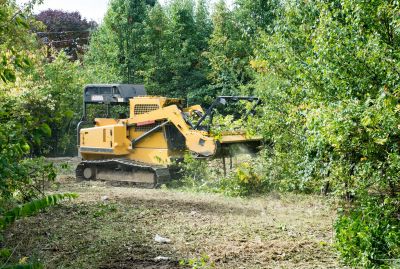 Ground Clearing in Cumming, GA