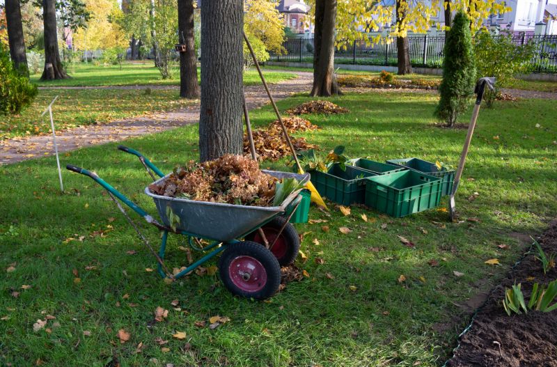 Brush Clearing Service in Gwinnett County, GA
