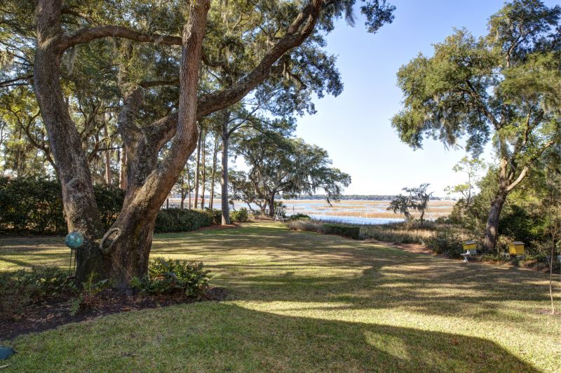 Lakefront Property Clearing in Cumming, GA