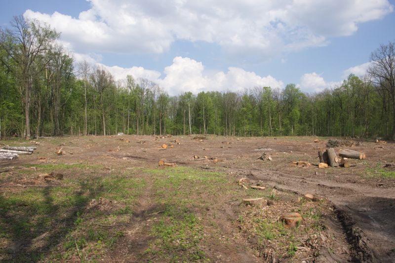 Land Clearing in Atlanta, GA
