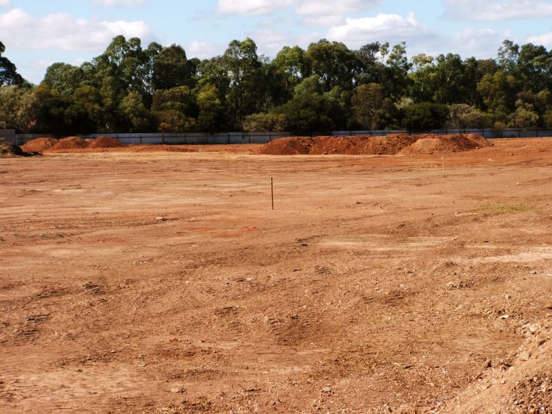 Site Clearing Service in Katy, TX