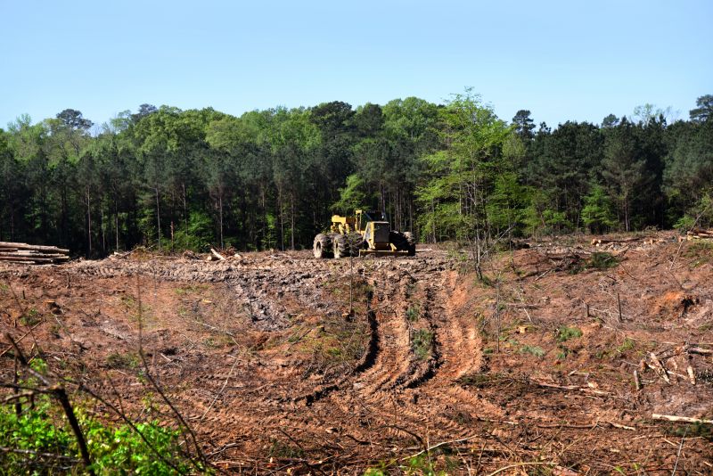 Site Clearing Service in Marietta, GA