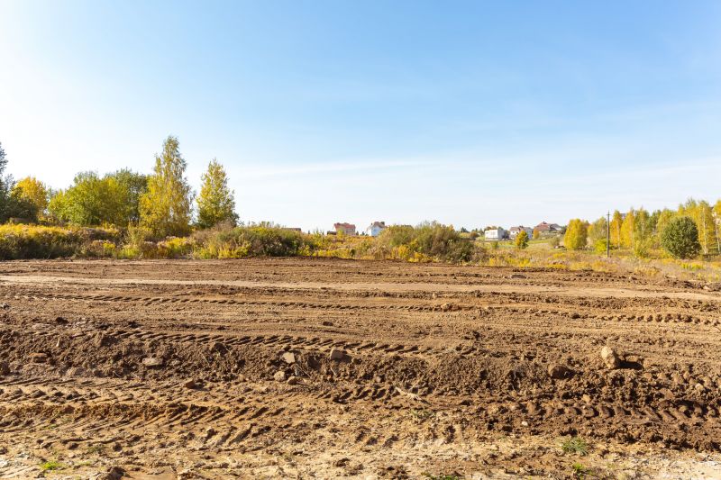 Terrain Clearing in Houston, TX