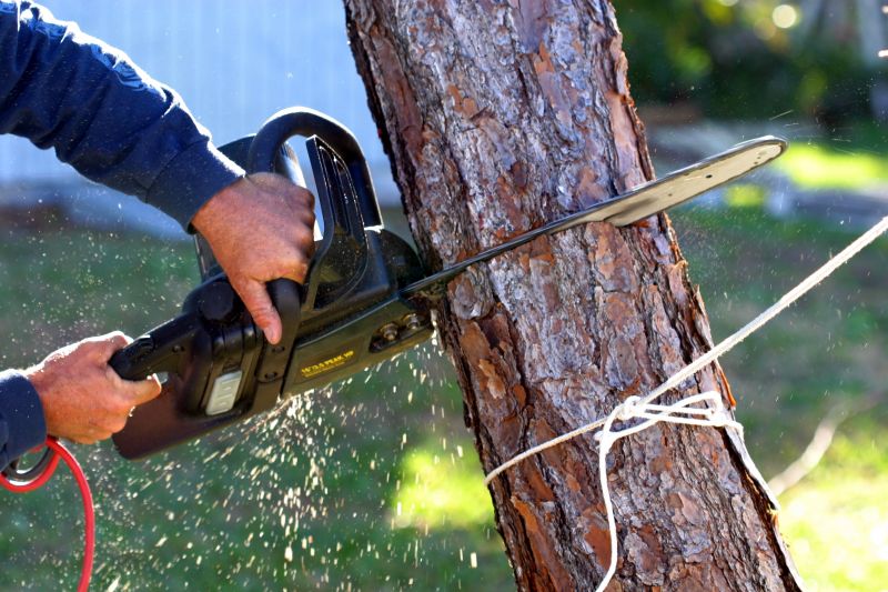 Tree Removal Service in Doylestown, PA
