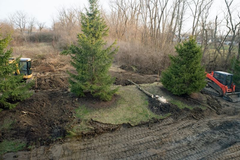 Undergrowth Removal in Utah County, UT
